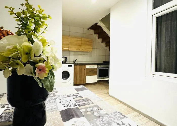 Elegant 5-br Shared Ideal For Groups & Families Vienna
